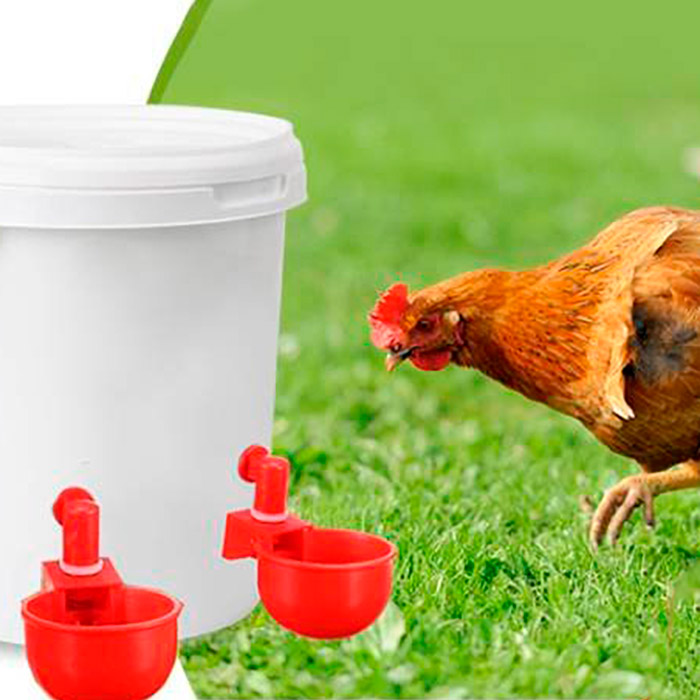 ChickenBowl, napáječka pro slepice a jinou drůbež (6 kusů) - Image 8