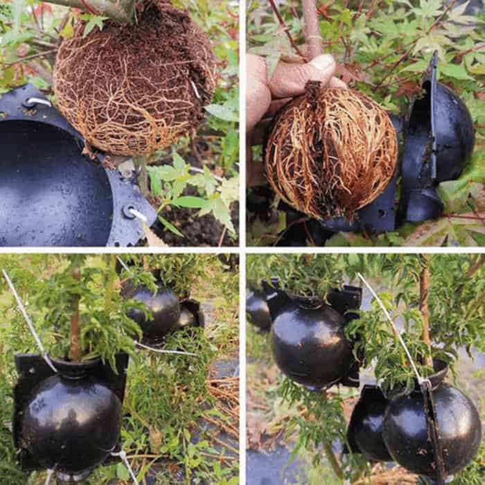 RootBall, nástroj pro úspěšné klonování rostlin (2 ks) - Image 5
