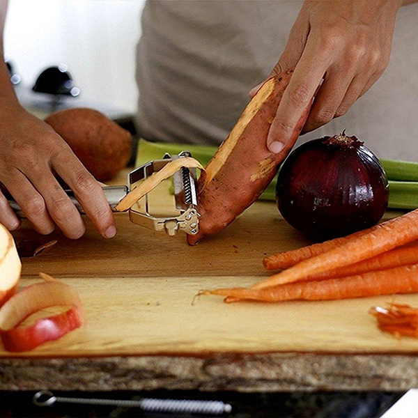 PROČ JE VEGAN SPRÁVNOU VOLBOU?